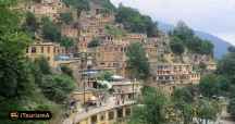 Masuleh