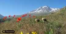 Sabalan Mount