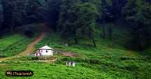 Dalkhani Jungle