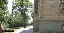 Green Museum