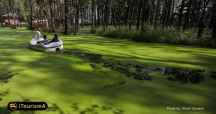 Saravan Swamp