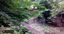 Kashpel Park