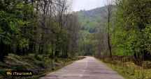 Kashpel Park
