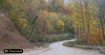 Kashpel Park