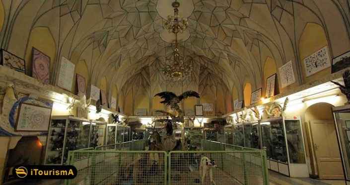 Natural History Museum