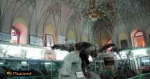 Natural History Museum