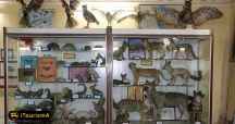 Natural History Museum