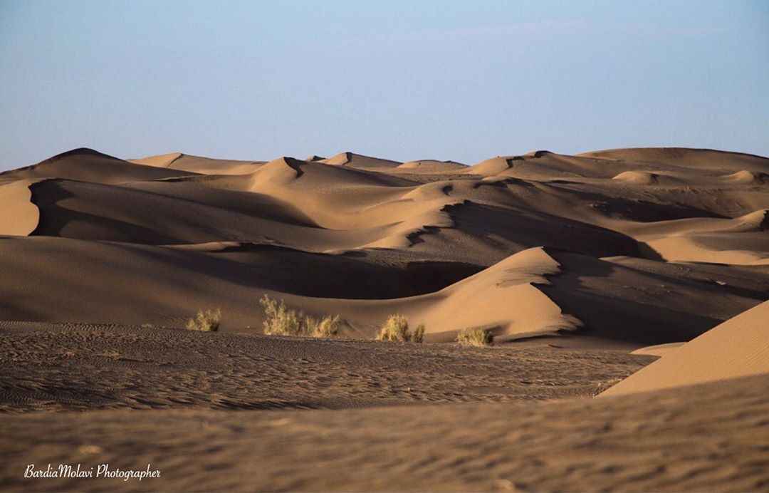 کویر مصر