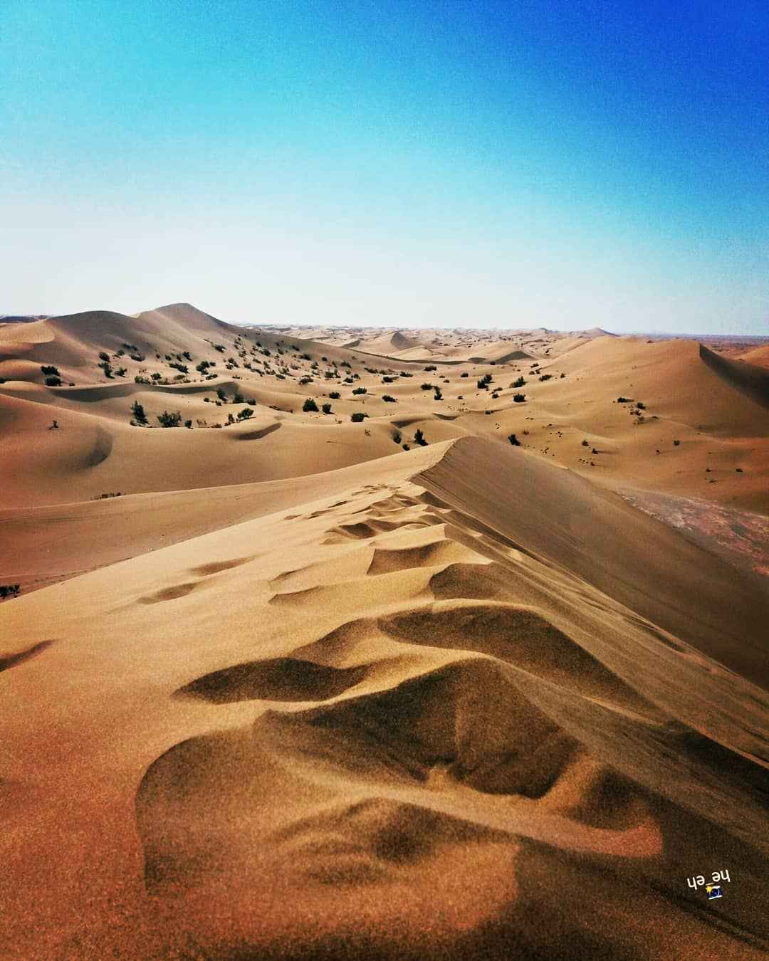 کویر ورزنه