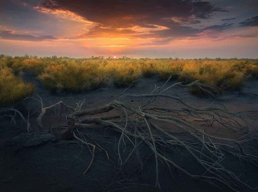 کویر مرنجاب