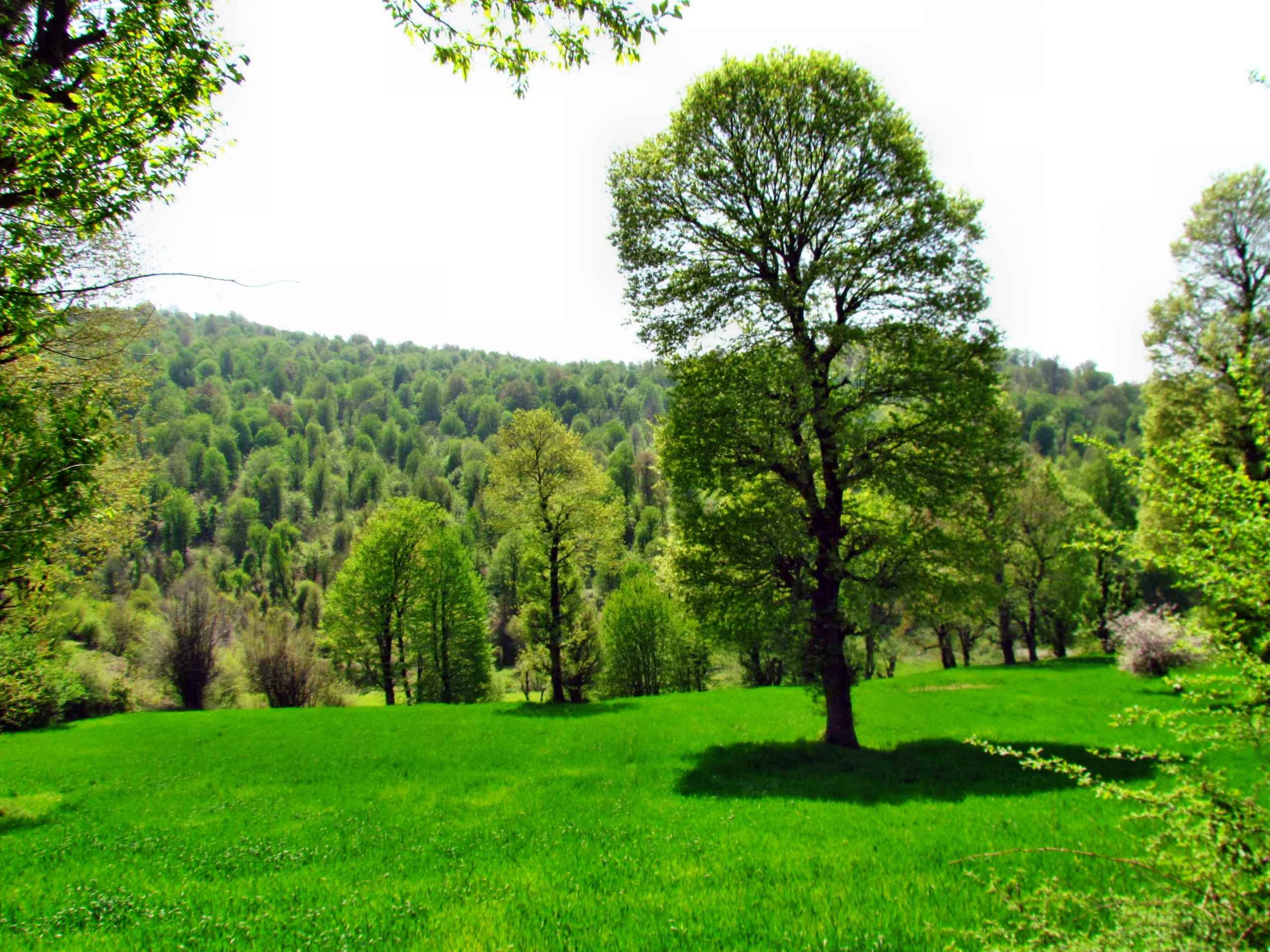 طبیعت شمال