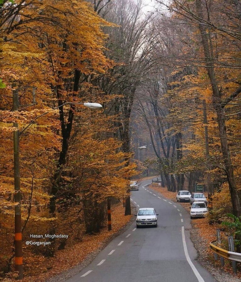 پارک جنگلی النگدره