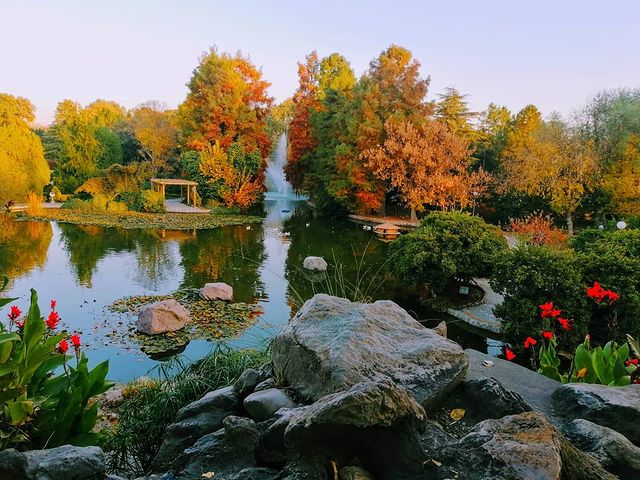 باغ گل ها